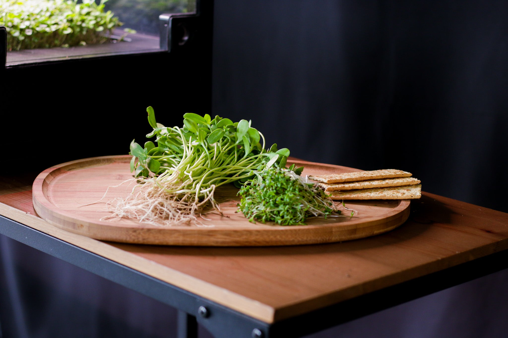 Wooden cutting board with fresh greens and crackers on a dark background