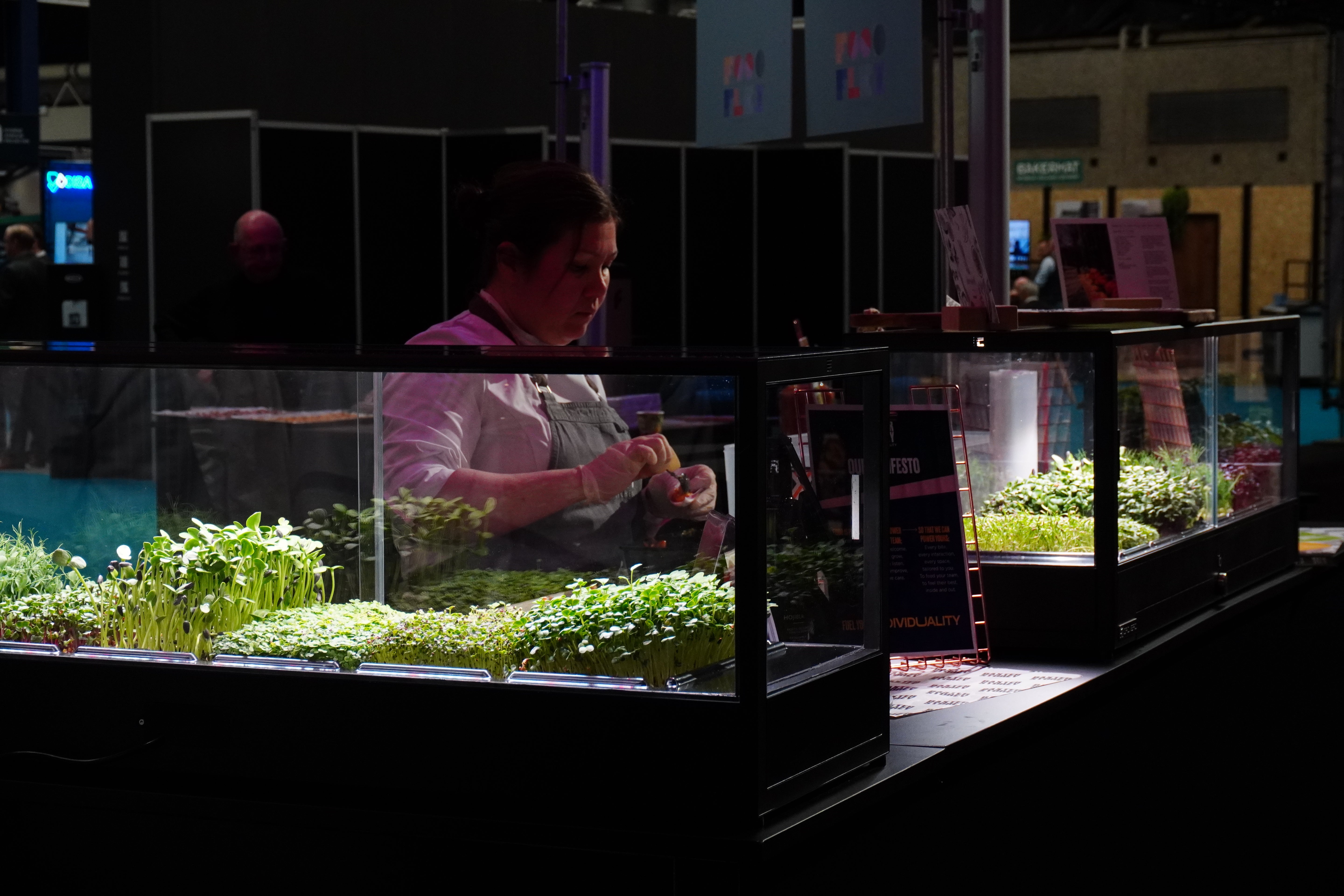 A woman in a gray apron stands behind an indoor microfarm filled with microgreens.