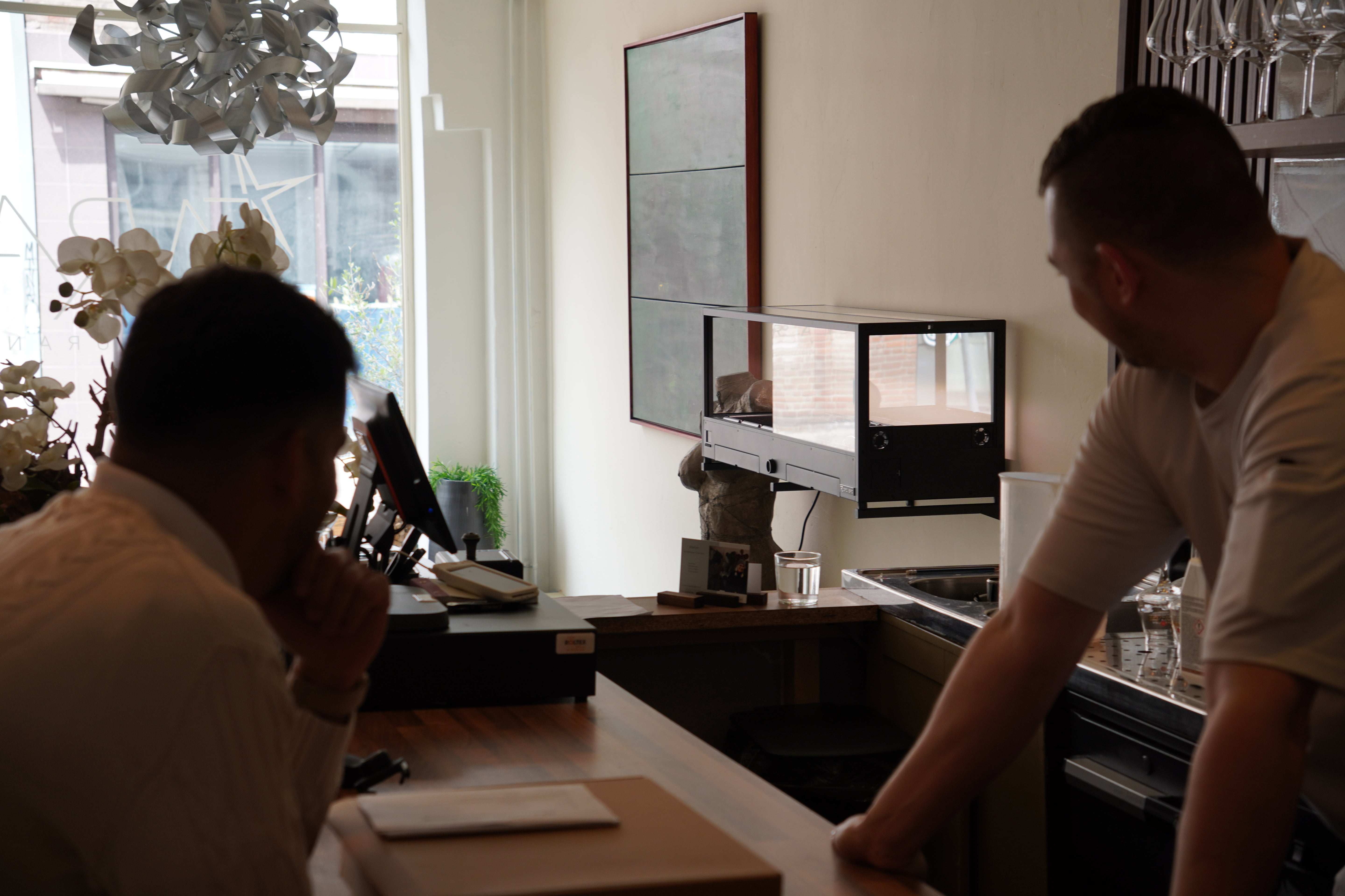 Two chefs looking at an hydroponic microfarm, wall mounted