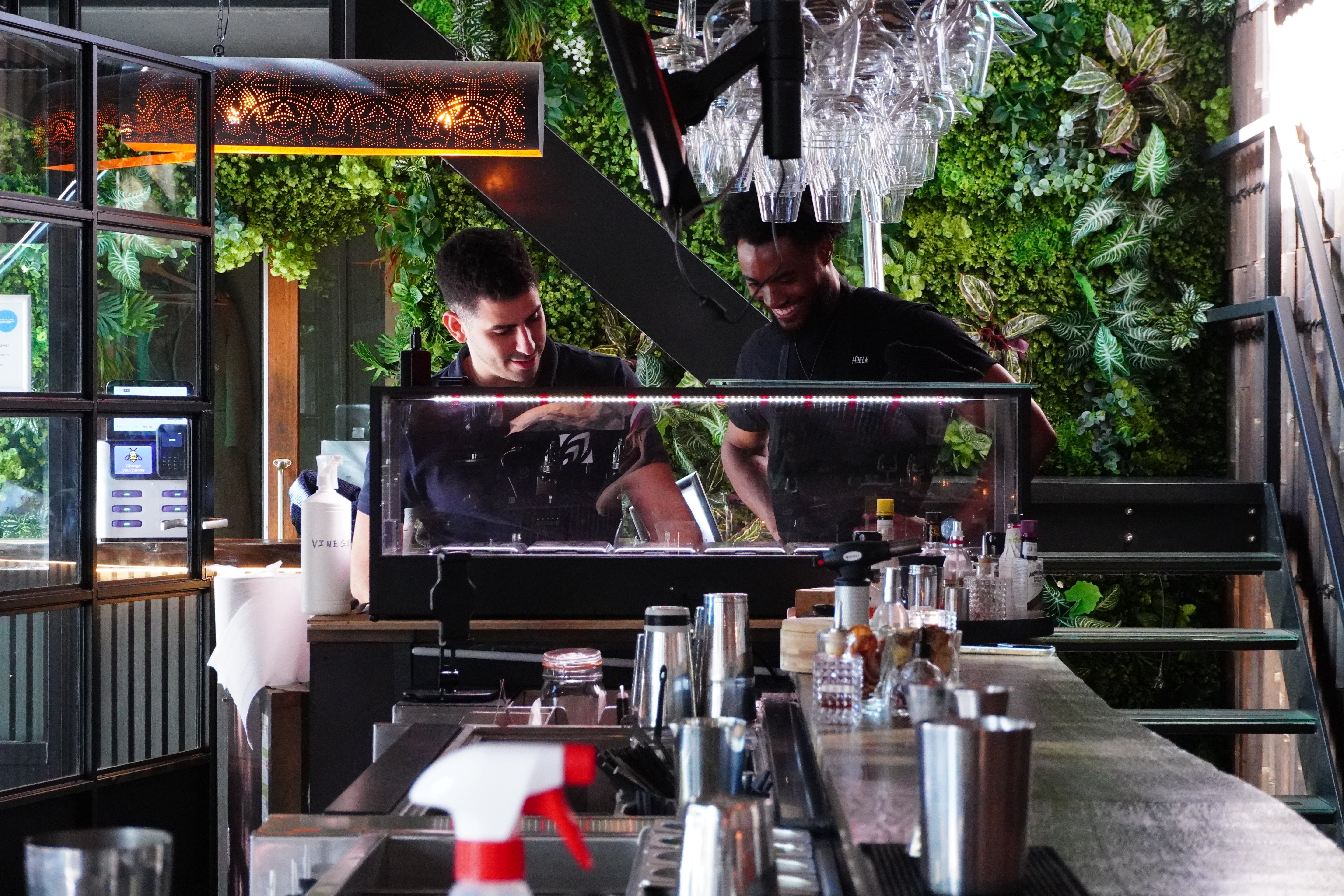Two men looking at an hydroponic system, in a bar setting