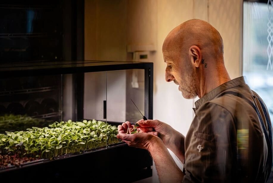 Head-chef from Zeezout, harvesting microgreens from Minigro