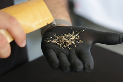 A close-up of a hand wearing a black nitrile glove holding a small pile of dried Tagette seeds, while another hand holds a yellow plastic container above the glove.