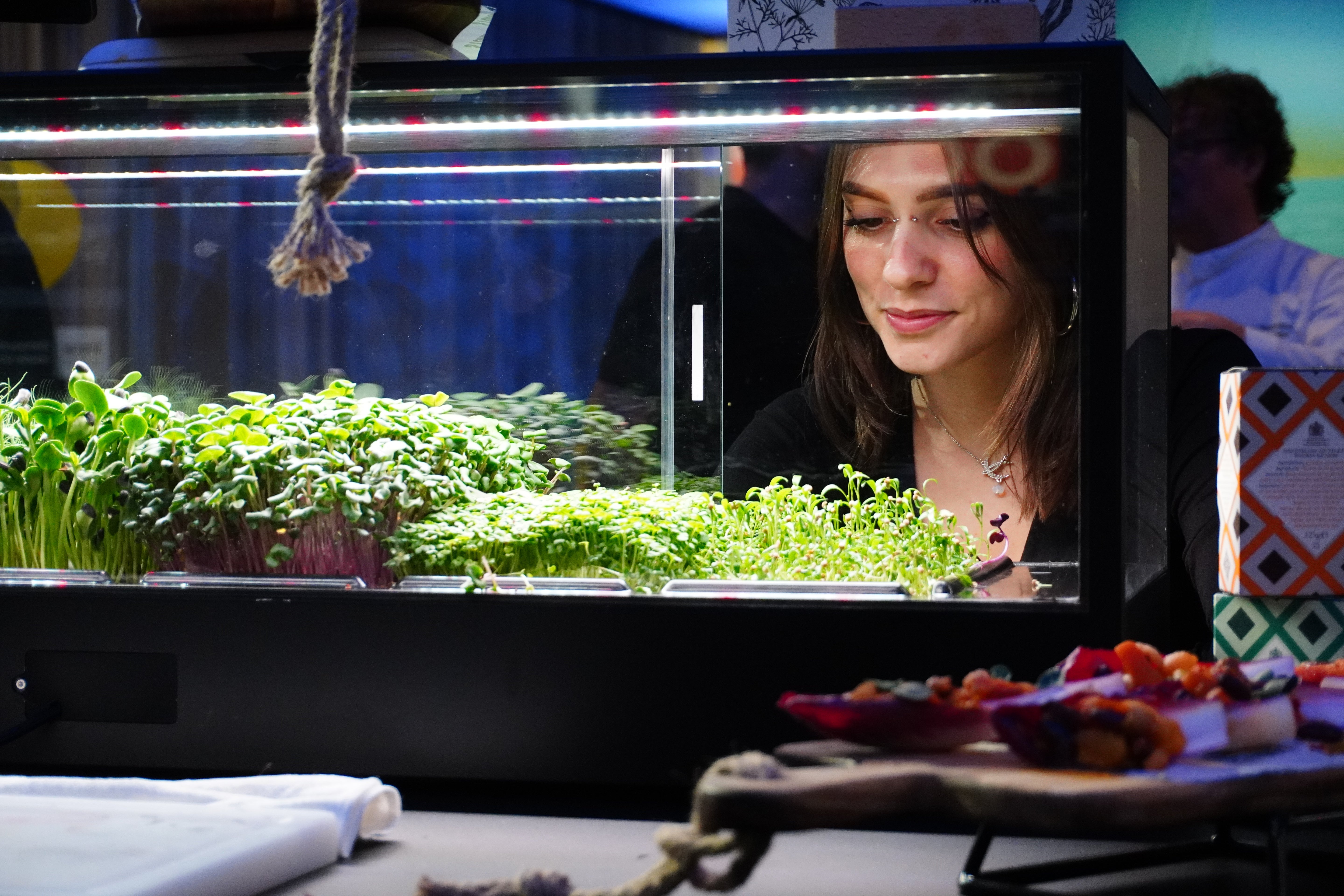 An indoor microfarm filled with green microgreens. A woman is visible behind the glass panel, and another person appears blurred in the background.