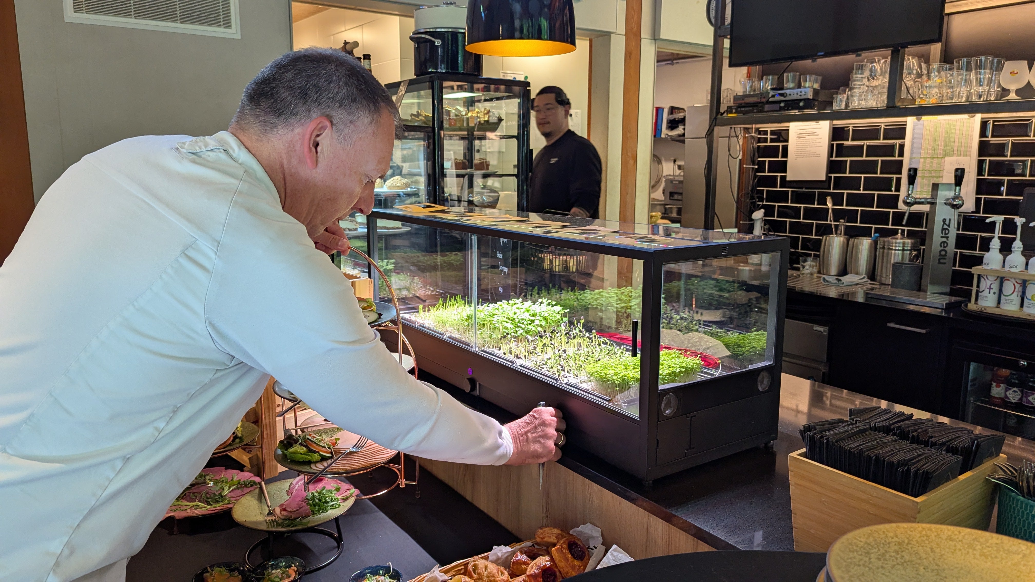 Man using the microfarm for growing greens