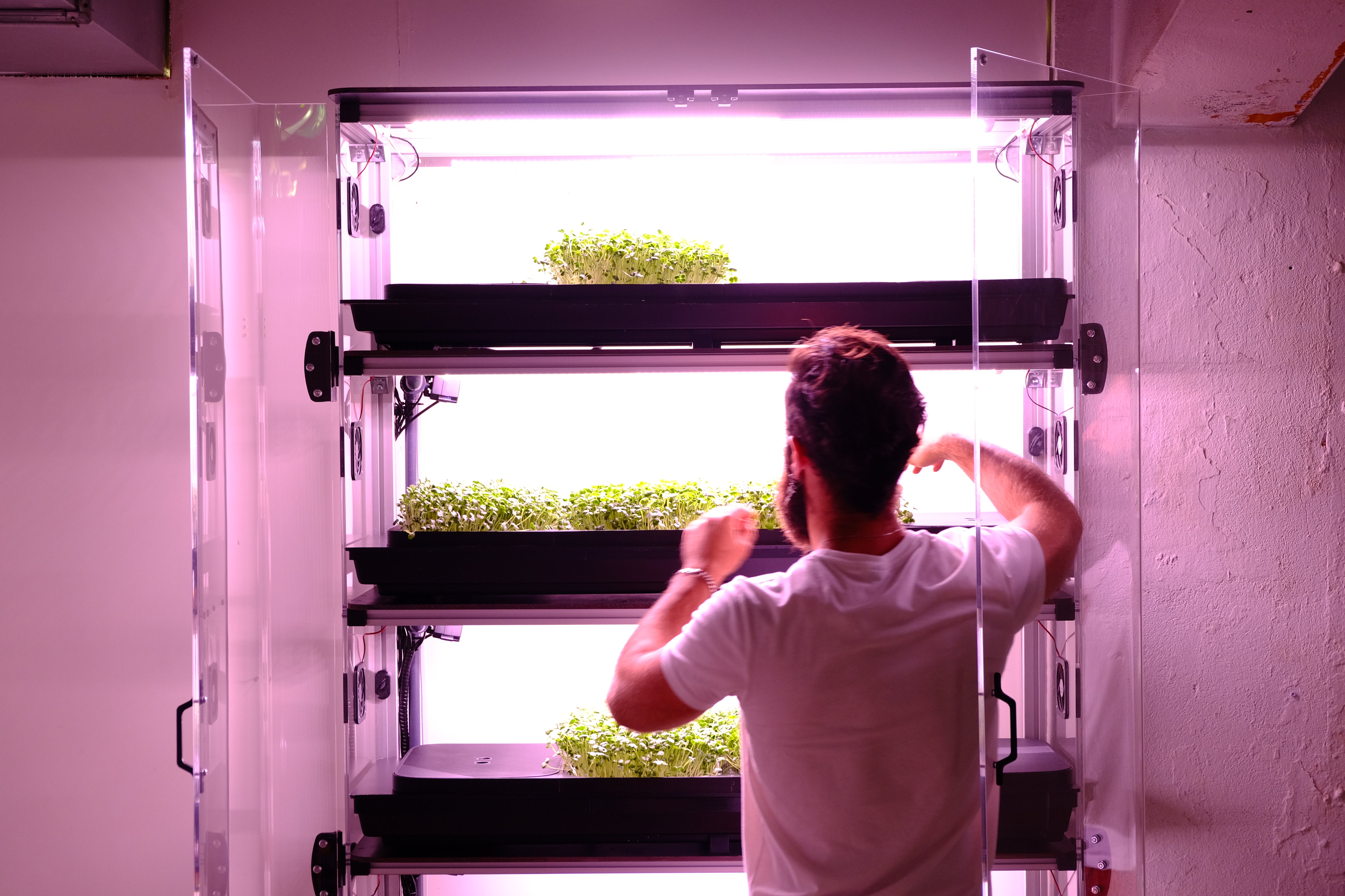 Person interacting with an indoor vertical farm system.