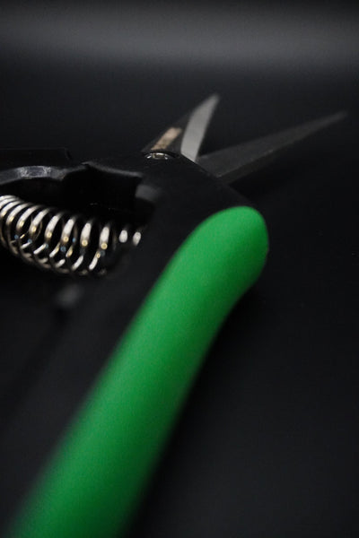Scissors