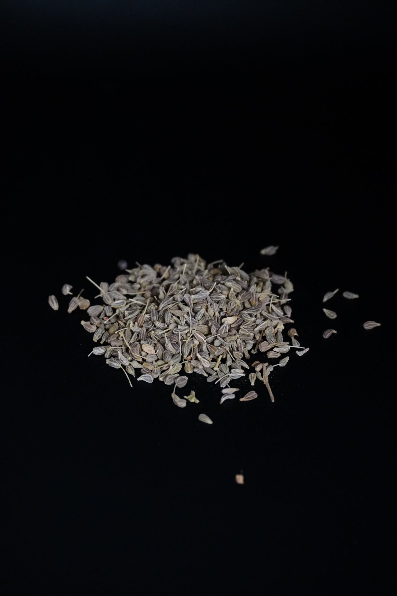 Anise