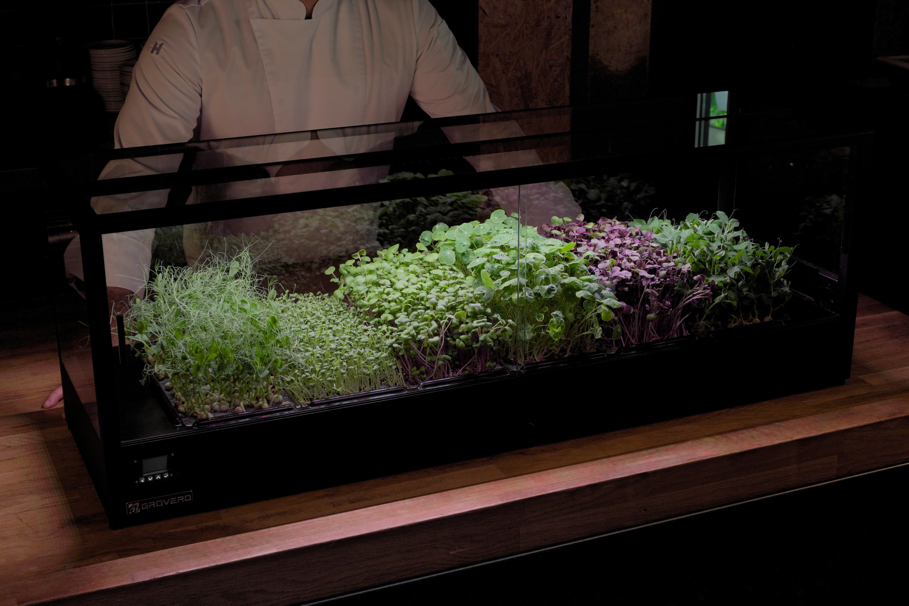 Load video: Video presentation of Minigro, an indoor microfarm in a professional kitchen environment