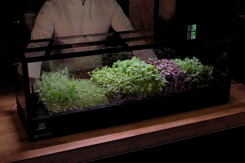Video presentation of Minigro, an indoor microfarm in a professional kitchen environment